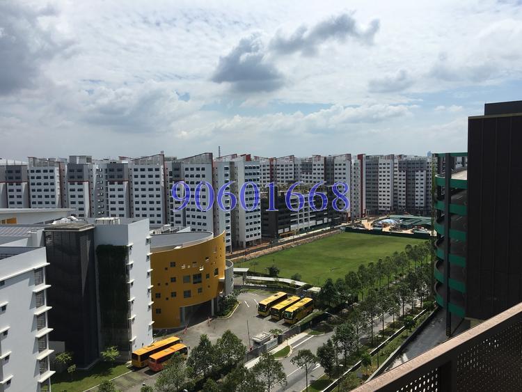 Primz Bizhub (D25), Factory #146208422
